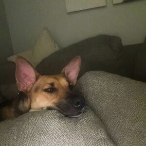 Meet your Posher, Ezra